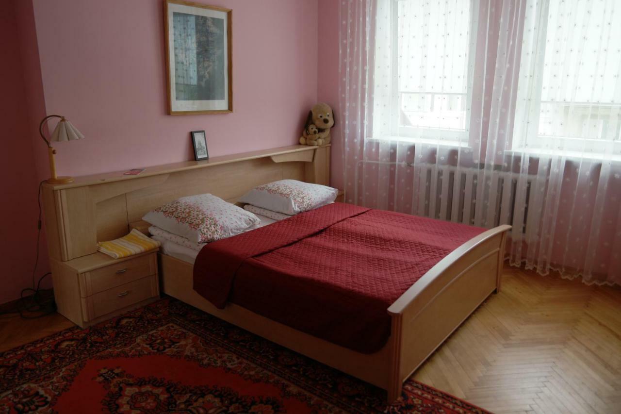 Cozy John'S House Apartment Vilnius Luaran gambar